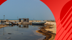 لکه نفتی قشم از کجا آمد و چه خطری برای محیط‌زیست دارد؟